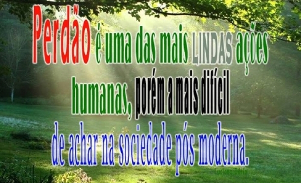 O Perdo