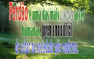 O Perdo