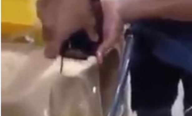 leo extrado de Bblia gera polmica nas redes sociais